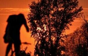 Enquete de satisfaction, participez à la victoire: Partagez votre expérience au sein du club !