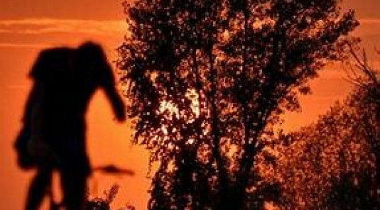 Enquete de satisfaction, participez à la victoire: Partagez votre expérience au sein du club !